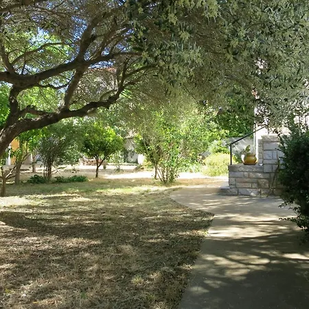 Maison Lumineuse Et Spacieuse Avec Jardin Arbore Villa